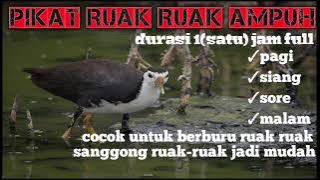 pikat ruak ruak. durasi 1 jam full ‼️