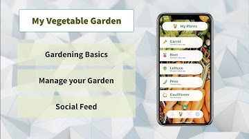 My Vegetable Garden ( Flutter Community #Hack20 )