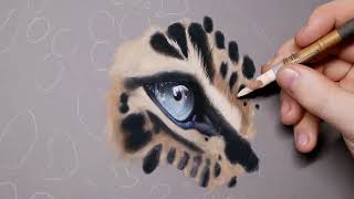 Drawing a realistic tiger #drawing