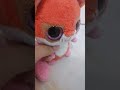 La nueva derid de Glicth studios