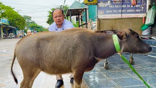 best buffalo grilled meat recipe // gun chef