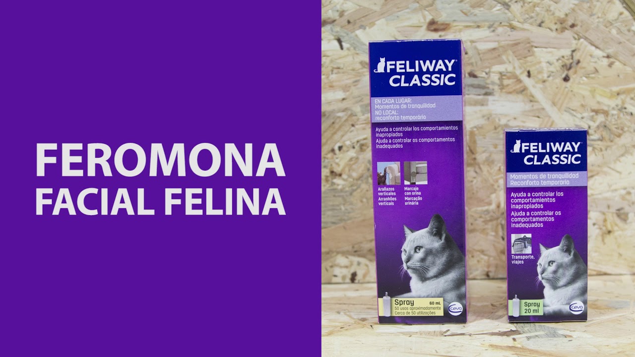 Feliway Classic Spray 60ml - Feromonas para Gatos