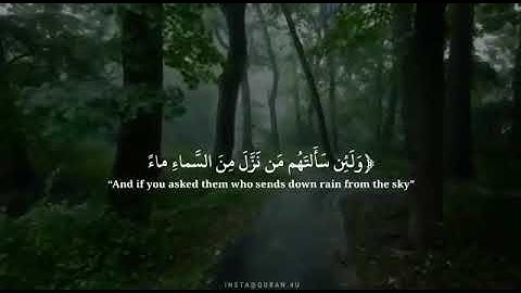 تلاوة هادئة ما تيسر من سورة العنكبوت surah al ankabut | القارئ : عبدالرحمن مسعد