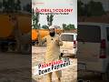 Global 1 Colony Warsak Road Peshawar Plots available on easy Installment Plan #commercialplots