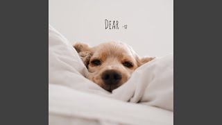 Dear Instrumental
