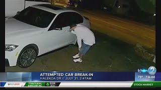 Police searching for suspect in an attempted car break-in in the Waialae area