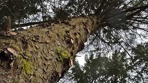 SUBJECT AND SEQUENCE - Moving Image Video - Final Film