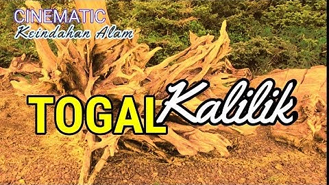 TOGAL CINEMATIC || Inspirational Views