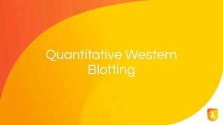 Quantitative Western Blotting | Meeting Western Blot Publication and Grant Funding Requirements
