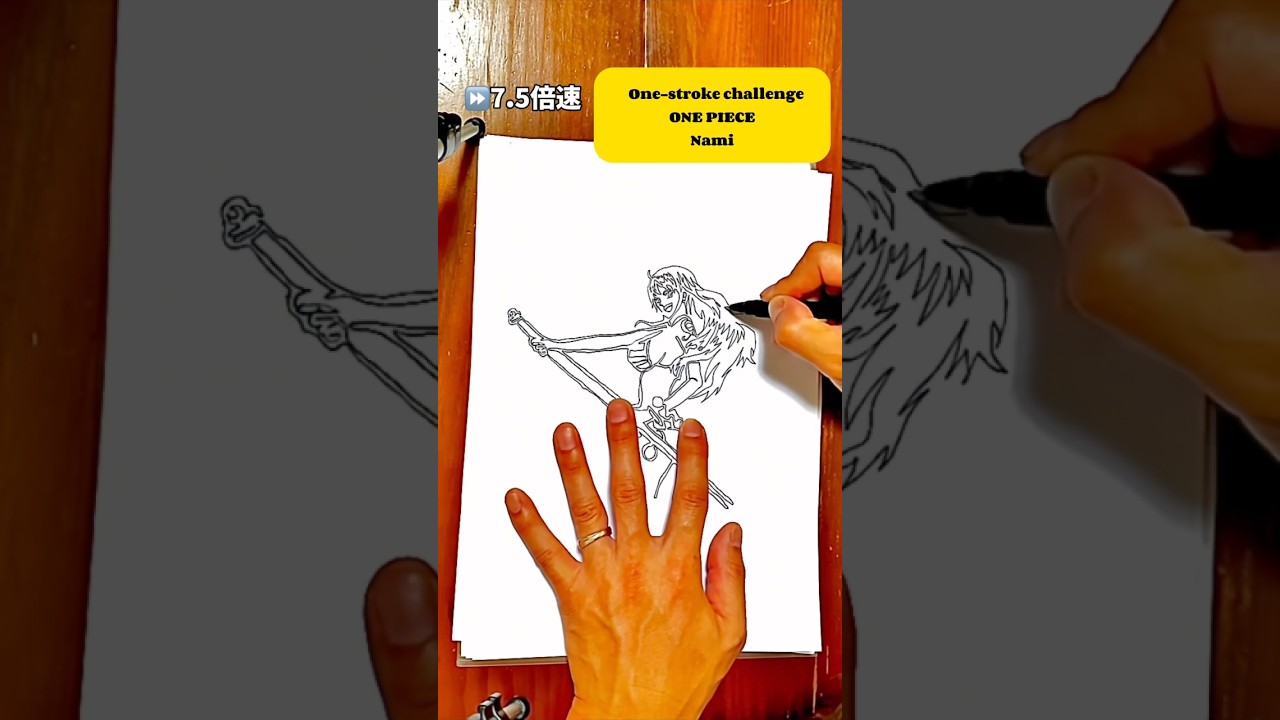 【ONE PIECE NAMI】 