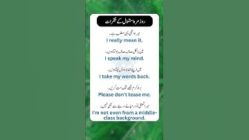 daily use english sentences with urdu translation 18