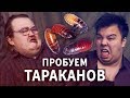 Мадагаскарские ТАРАКАНЫ