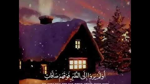 حالات واتس اب سورة الملك القارئ اسلام صبحي 💜🌸