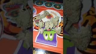 liquorice sherbet UK weed powered by flavour farmer cannabis smoke up and review