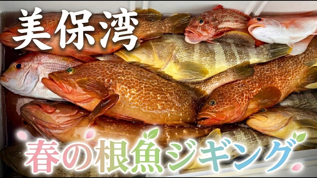 新しいポイント開拓しつつアコウ（キジハタ）を狙う！春の根魚ジギング 