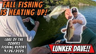 Lake of the Ozarks Fishing Report September 25th. Fall Fishing Is Heating Up!!!