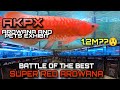 Akpx arowana and pets exhibitlabanan ng mga malulupet na super red arowana wworth value na 12m