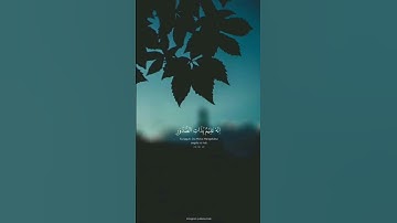 وكأين من دابة لا تحمل رزقها الله يرزقها وإياكم #سورة_العنكبوت