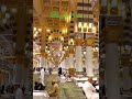 HAMARA NABI#trendingnaat #yarasoolallah #nabipak #islamicvideo #tlp #islamicstatus #beautiful