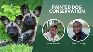 Wildlife Conservation Expo | April 23, 2022 | Painted Dog Conservation