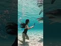 🦈 A Brave Girl Fights Against 2 Deadly Sharks in the Deep Ocean 😱🔥 Watch #savethesharks #sharkfinnin
