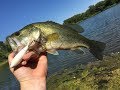 Whopper Plopper by River2Sea [Facebook Live @LyubakaTV]