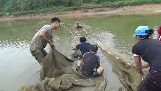 Harvest fish in ponds for 2 years to sell - Cat Net Fishing with Many People - Amazing Fishing