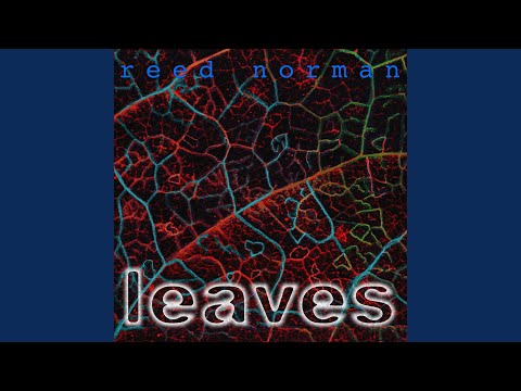 Leave No Trace Ahead