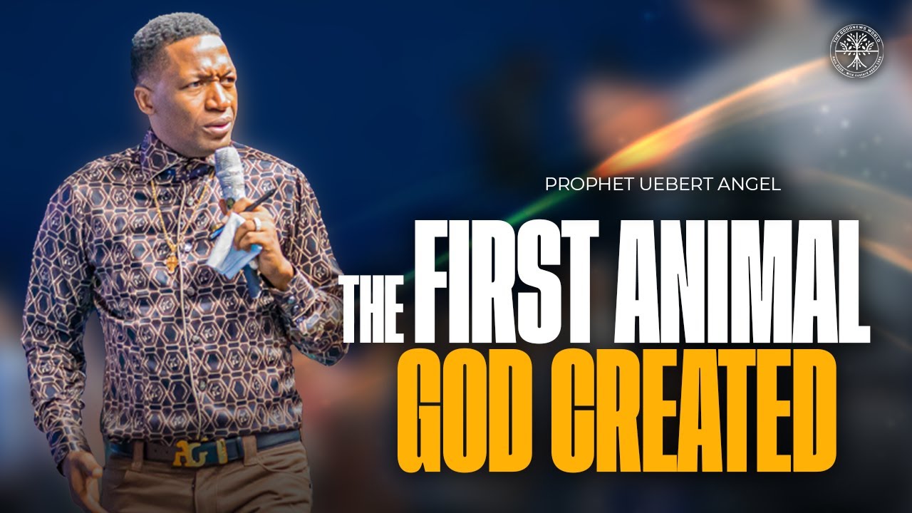 The First Animal God Created Prophet Uebert Angel YouTube The First Animal God Created Prophet Uebert Angel YouTube