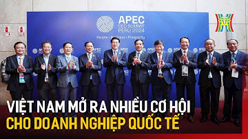 Việt Nam mở ra nhiều cơ hội cho doanh nghiệp quốc tế | Tin tức