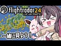 Flightradar24 フライトレーダー24を眺めるだけ ホロライブ AZKi 