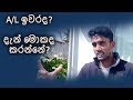 Sri Lankans | Study in New Zealand | A/L ඉවරද? දැන් මොකද කරන්නේ?