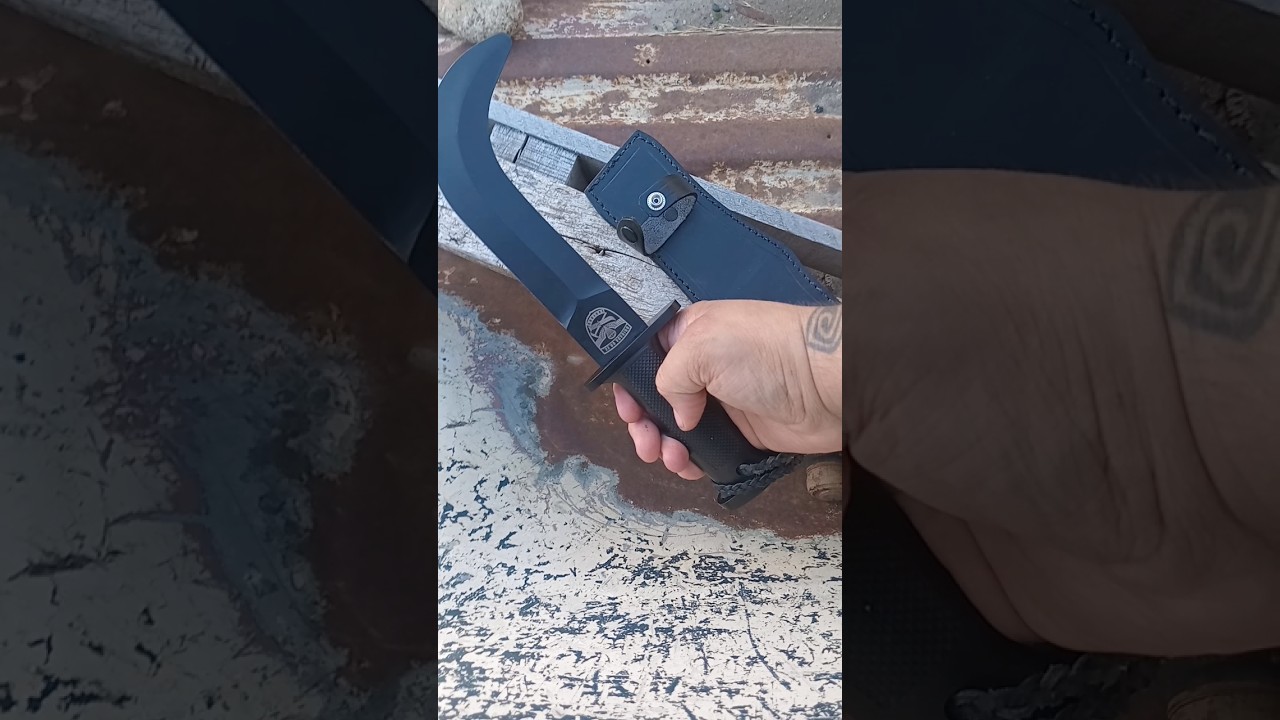 Corvo Chileno🇨🇱 