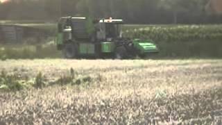 Sesier Aardappel Rooien.