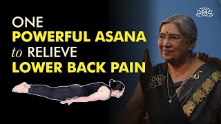 Best Posture for Back Pain | How to do Shalabhasana | Locust Yoga Pose | Asanas