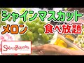 【食べ放題】スイーツパラダイスでぶどう狩り！！今年もこの季節がやって来た！