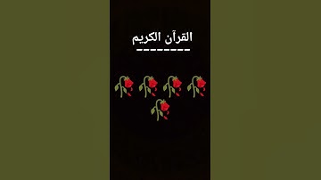 #المصحف #اكسبلور ماهر معقيلي سورة يس