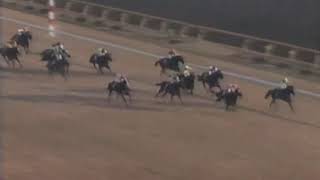 1992 TOKYO JRA JAPAN CUP