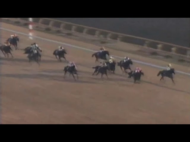 1992 TOKYO JRA JAPAN CUP - YouTube