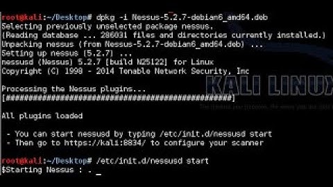 Nessus Plugin Update in CMD