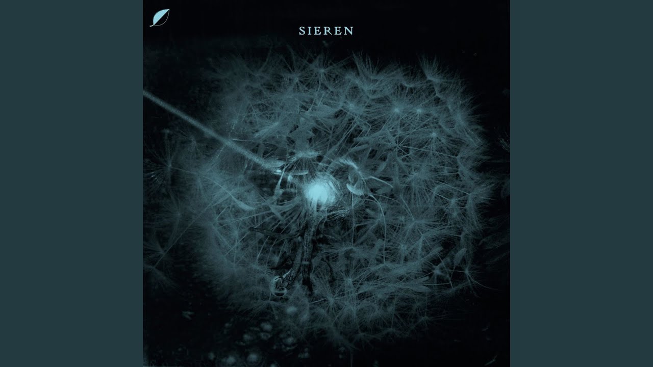 Ver Wavescraper no YouTube Ver Wavescraper no YouTube