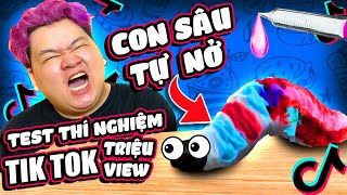 Con Sâu Tự Nở Có Thật Không? | Thí Nghiệm Triệu View Tik Tok Phần 15 | Mazk Phá Phách # 152