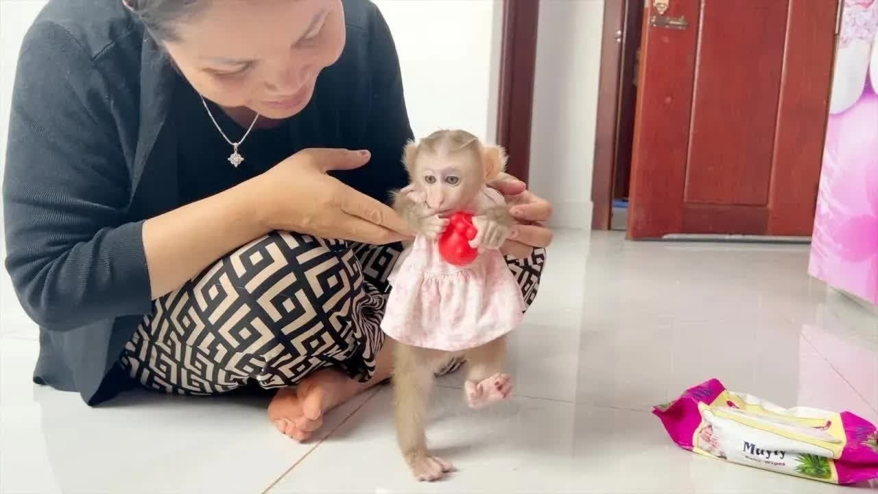 The Elegant Pink Frock Baby Jelly Learn Standing 2 Leg