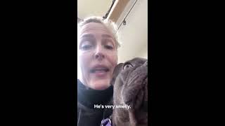 Famous Gillian Anderson & Nelson Net Worth