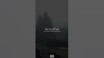 يُخرِجُ ٱلۡحَيَّ مِنَ ٱلۡمَيِّتِ وَيُخرِجُ ٱلۡمَيّتَ مِنَ ٱلۡحَيِّ | محمد صديق المنشاوي | سورة الطور