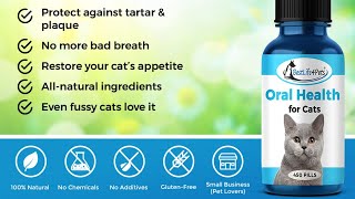 🐱🌟 Revolutionize Your Cat's Dental Health: BestLife4Pets Oral Health Review! 🦷✨