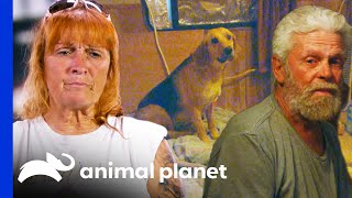 Tia Tearfully Separates Dog From Poor Owner | Pit Bulls & Parolees