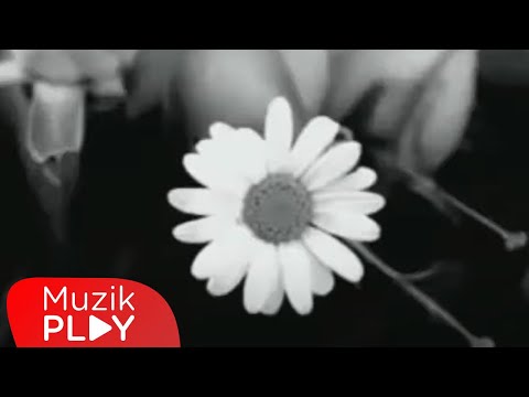 Tezkere - Dandadadan (Official Video)