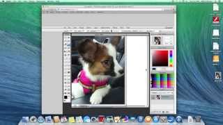 SUMO Paint – How to Get Started – Video Tutorial