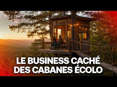 ECOLOGY: They live in a CABIN in the woods - All Things Considered